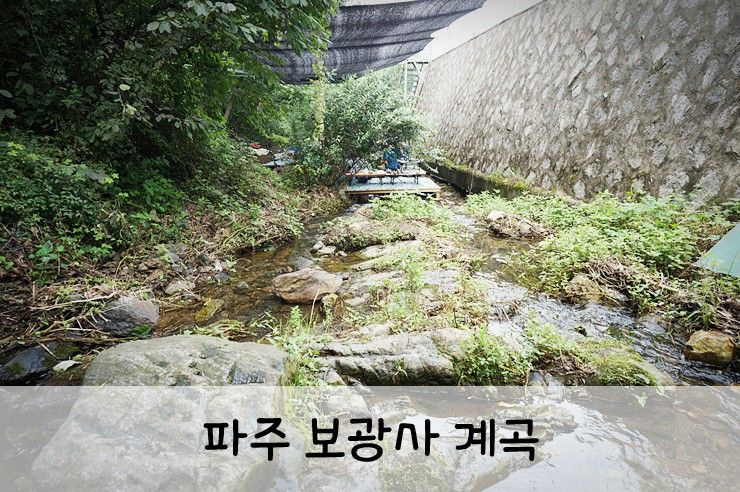 파주 보광사 계곡 / 얕지만 괜찮아 ♩