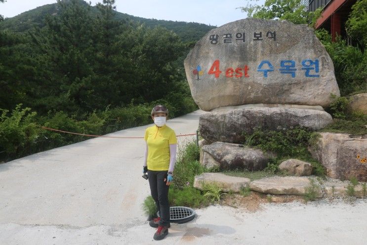 해남 포레스트 수목원/ 수국축제가 한창이다,