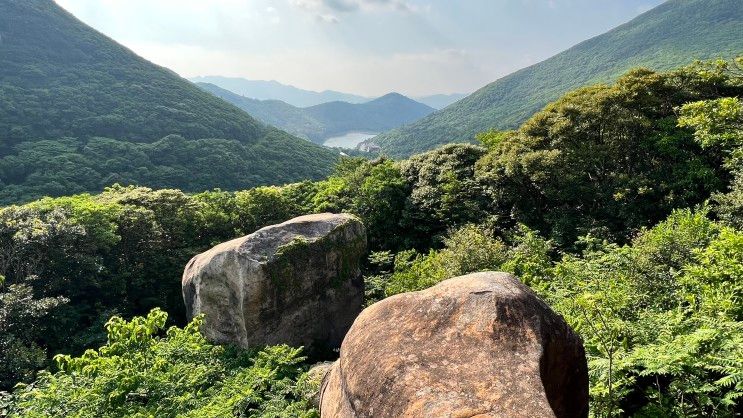 완도수목원과 포레스트수목원 걷기(해남 성내식당)