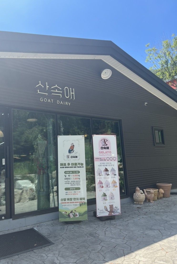 [경기도 여주] 알파카 체험 ’산속애’