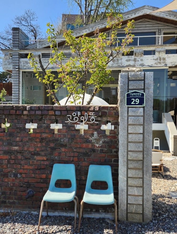 [고양이똥] 인천 계양구 / 감성적인 주택 개조 카페