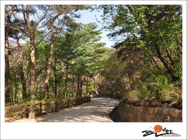 서울 북악산 삼청공원. 연두색 싱그러운 숲길을 걷다.