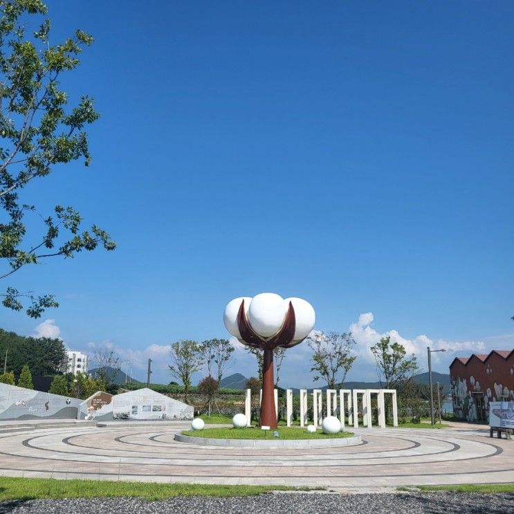 고하도 목화체험장, 목포 아이와 함께 나들이 가기 딱 좋은 곳