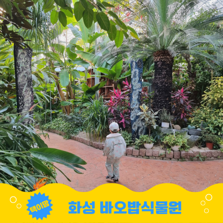 화성 바오밥식물원 베이커리카페 실내 아이랑갈만한곳