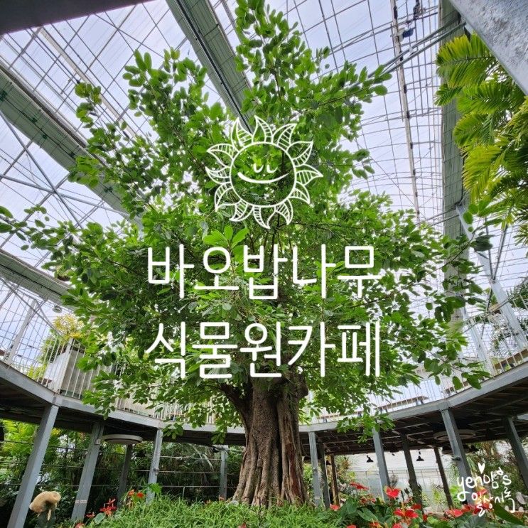 바오밥식물원 베이커리&카페 -  바오밥나무가 있는 찐 식물원...