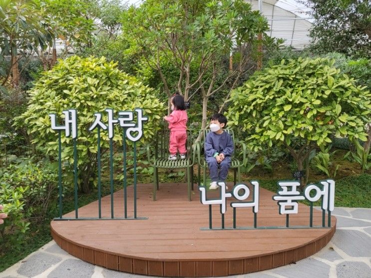 익산 아이랑 갈만한곳 왕궁 포레스트 작은 제주 식물원 놀이터... 