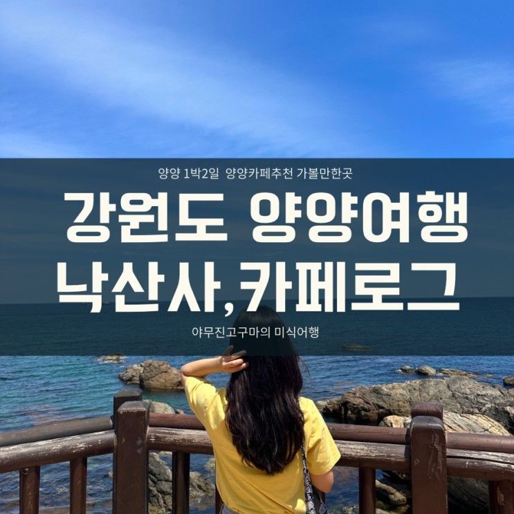 강원도 양양여행 낙산사, 소나무숲뷰 카페로그