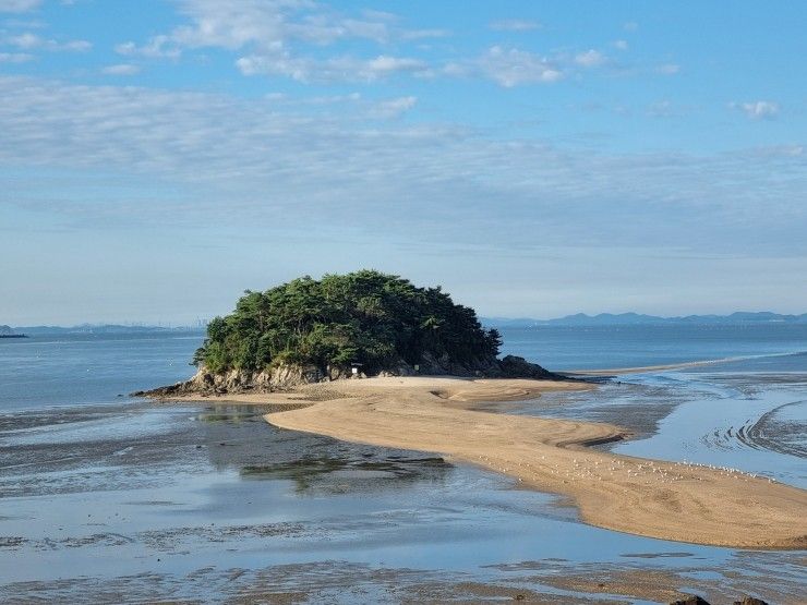 목섬 뻘다방 안산 방아머리해수욕장 해바라기 유리섬박물관