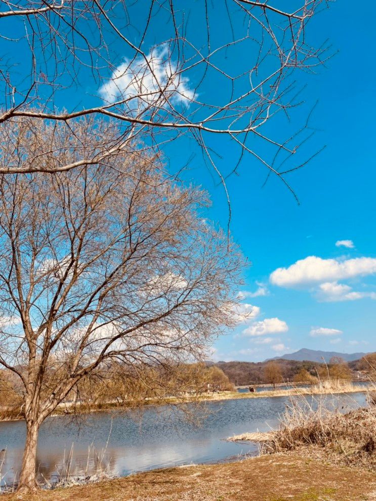 남양주 물의정원 공원... 서울근교 공원 데이트,아이들이랑... 