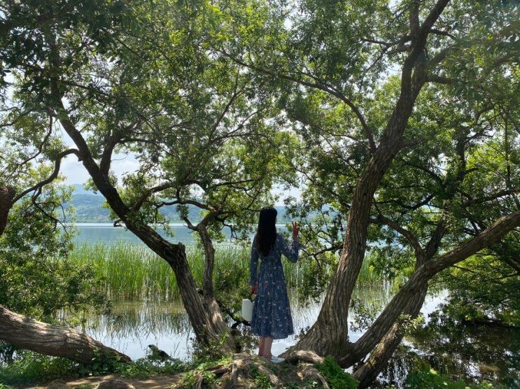 남양주여행 가볼만한곳 물의정원 추천 (데이트장소 + 아이랑)... 