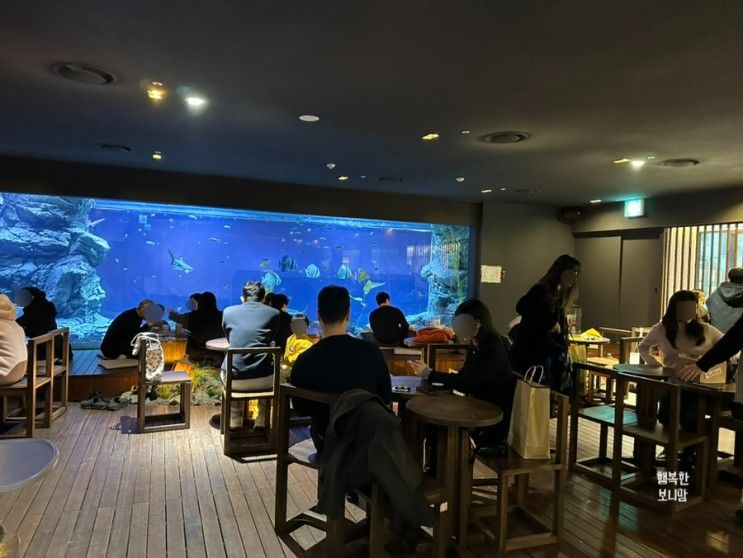 광교 카페) 대형 수족관이 있는 카페 : 청수당 해림