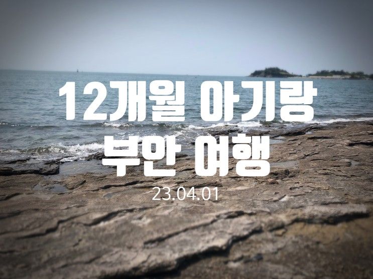 12개월 아기랑 부안여행 (채석강, 수성당 유채꽃,누에타운)