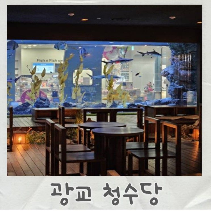 신비로운 수족관 카페 광교 청수당 해림