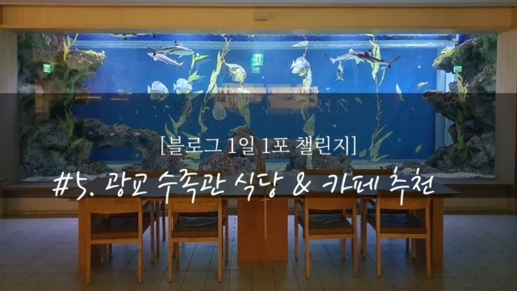 광교 수족관 식당 '수린' &  카페 '청수당 해림' 추천