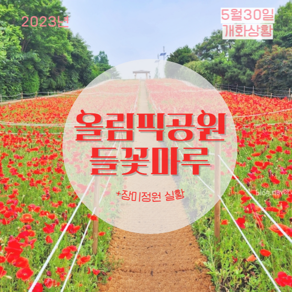 [서울데이트] 5-6월 서울 꽃 명소 - 올림픽공원 들꽃마루...