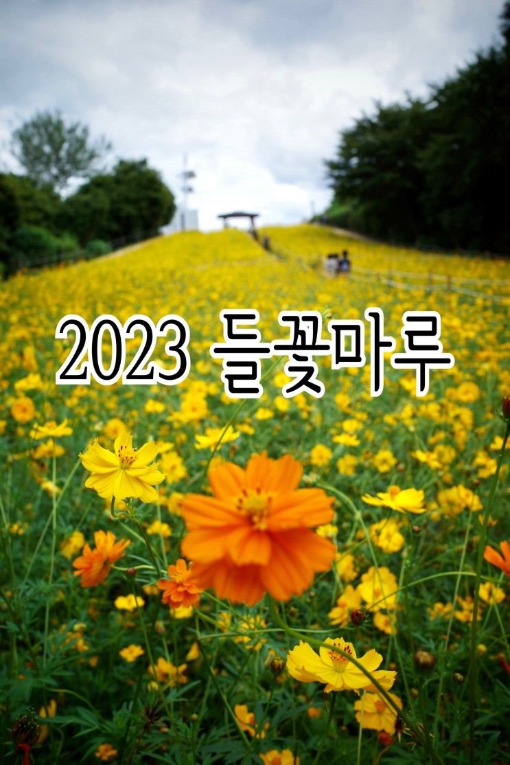 들꽃마루 즐기는 올림픽공원 산책/ 9월개화현황