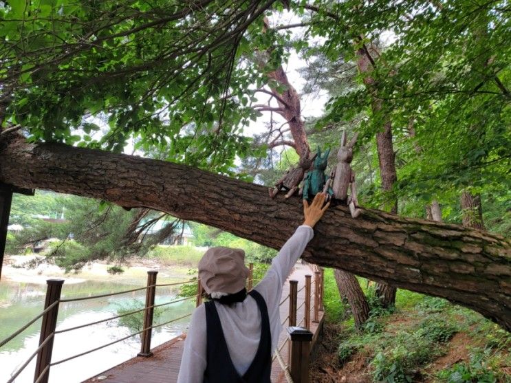 포천 여행 산정호수 둘레길, 낭만닥터 김사부 촬영지