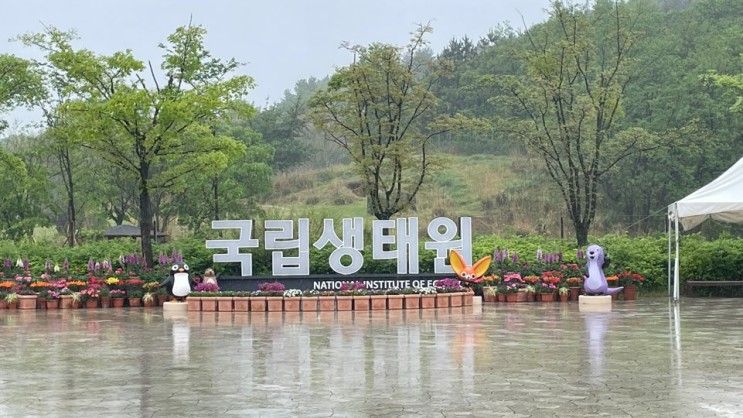 서천국립생태원 ㅣ 주말에 아이들과 가면 좋은 곳