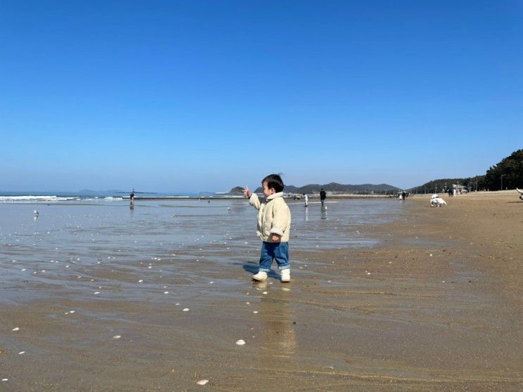 충남 태안, 예산 여행 :: 꽃지해수욕장 / 태안, 안면도 아기랑 가...