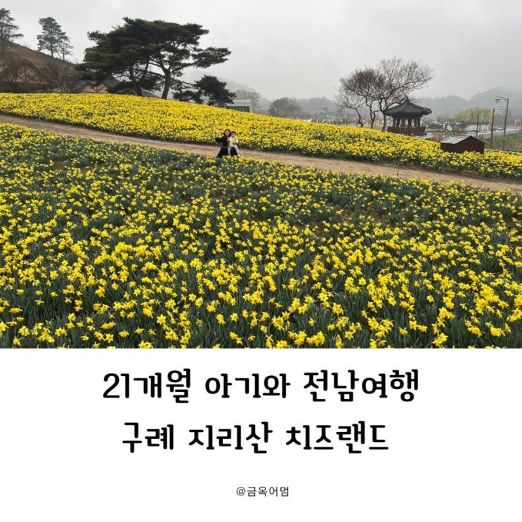 함께 만나는 아이와 가기좋은 지리산치즈랜드 (feat. 요거트맛집)