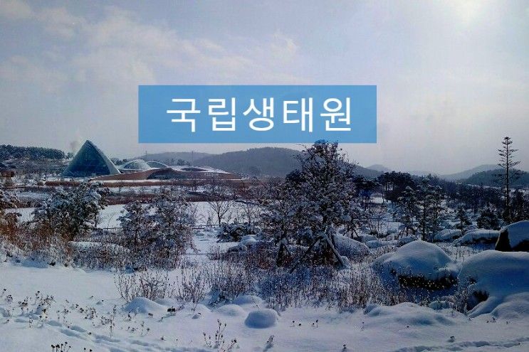 서천 겨울 국립생태원 서천생태박물관 ‘제5회 멸종위기... 