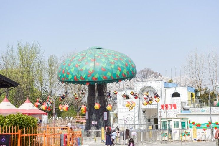 서울 어린이대공원 놀이동산 놀이기구 가격, 테마파크 소풍