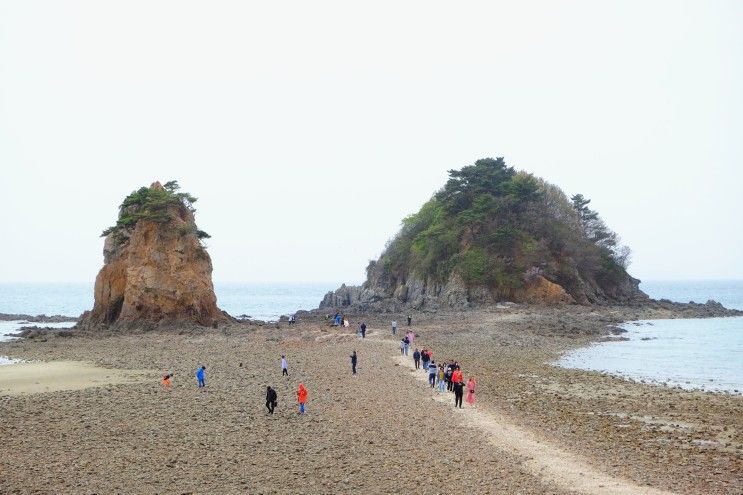 태안 아이와 가볼만한곳 안면도 꽃지해수욕장 해안공원 놀거리...