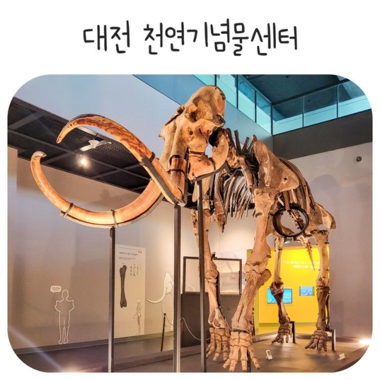 대전 천연기념물센터 실내 아이와 가볼만한곳