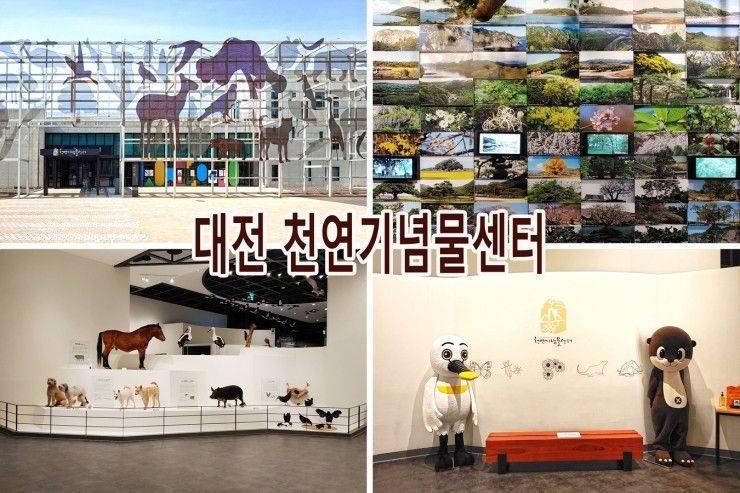 대전 아이와 가볼만한곳 천연기념물센터 위풍당당진국 관람 후기