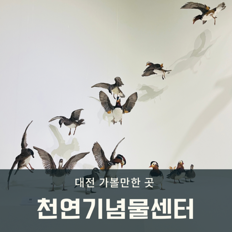 대전 아이와 가볼만한 곳 천연기념물센터, 자연 식물 동물까지...