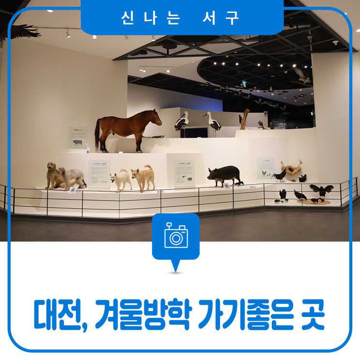 겨울방학 아이들과 함께 가기 좋은 곳, '대전 천연기념물 센터'