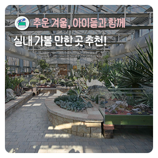 실내 가볼 만한 곳 추천_천연기념물센터, 곤충생태관, 열대식물원