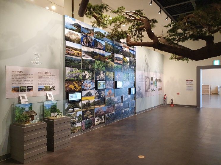 [박물관] 천연기념물센터 1 (2022년)