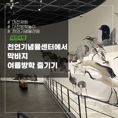 대전 천연기념물센터에서 여름방학 즐기기