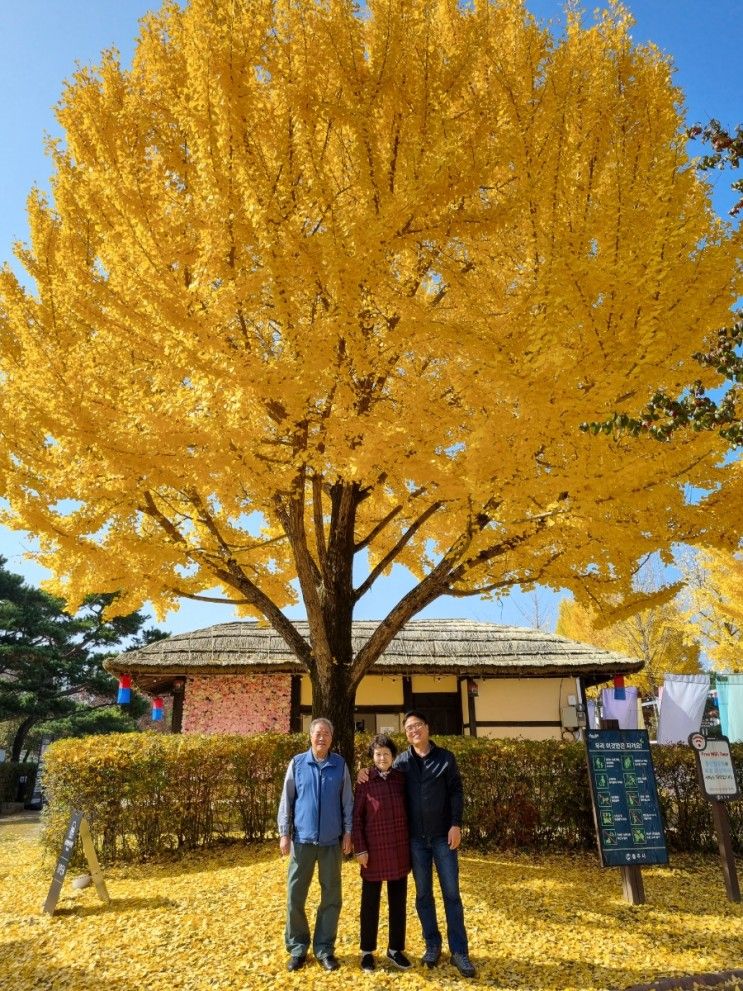 충주여행.중앙탑의상실과사진관