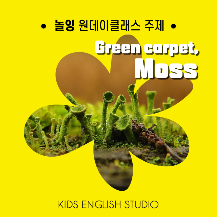 [놀잉] 3rd - 이끼 Moss (#키즈원데이클래스)