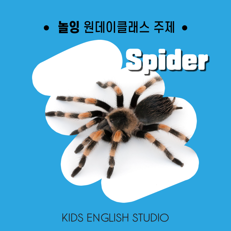 [놀잉] 4th - 거미 Spider (#키즈원데이클래스 #영어놀이)