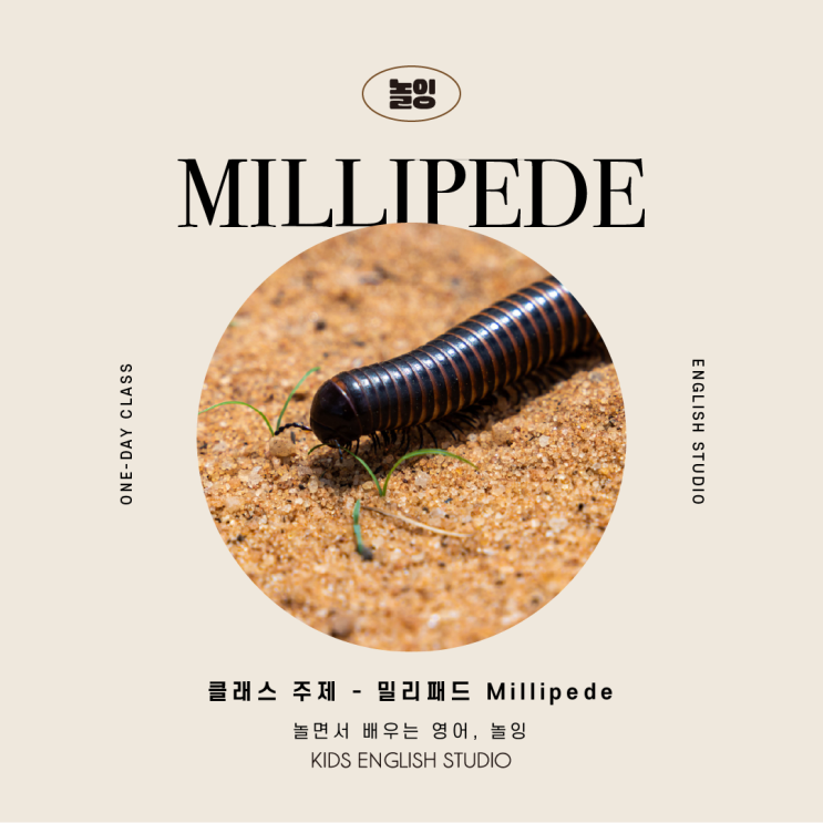 [놀잉] 5th - 밀리패드 Millipede (#키즈원데이클래스...