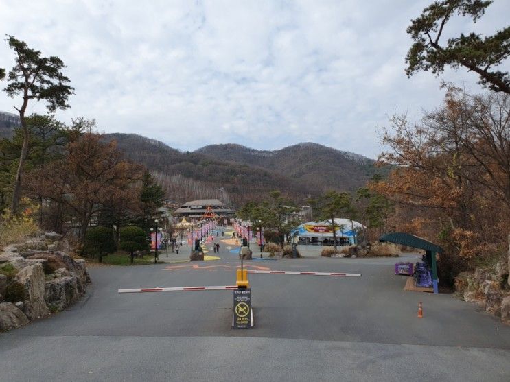 충북 증평,'벨포레 놀이동산'방문 후기(미니골프,놀이기구종류... 