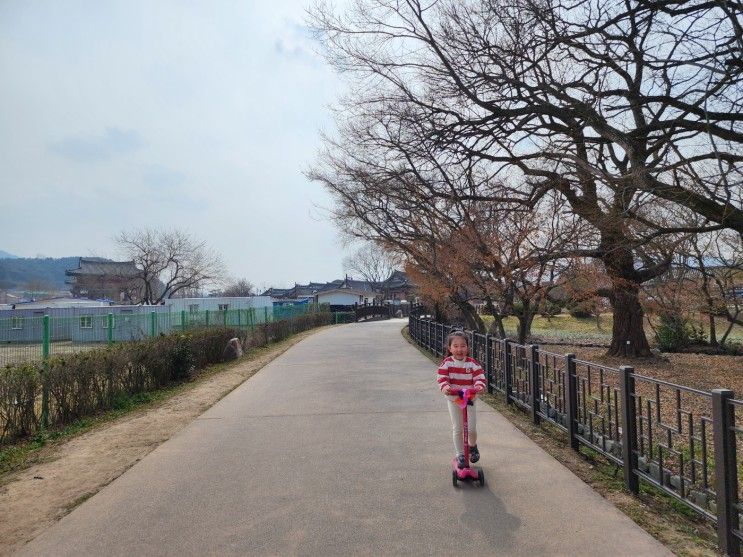 경주 여행 첨성대 비단벌레차 예약 월정교 교촌마을 주차