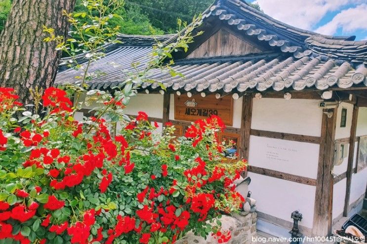 경기도 광주 새오개길39 한옥마을 한옥카페 뷰맛집