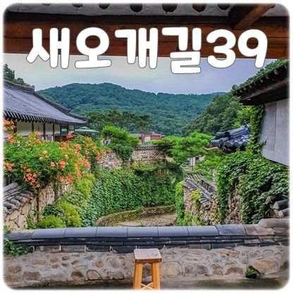 ◆광주◆경기광주의 아름다운 한옥카페 새오개길39