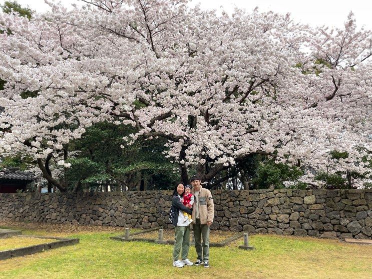 아기랑 제주도 한 달 살기... 효리네 민박 소길별하 다녀온 날.