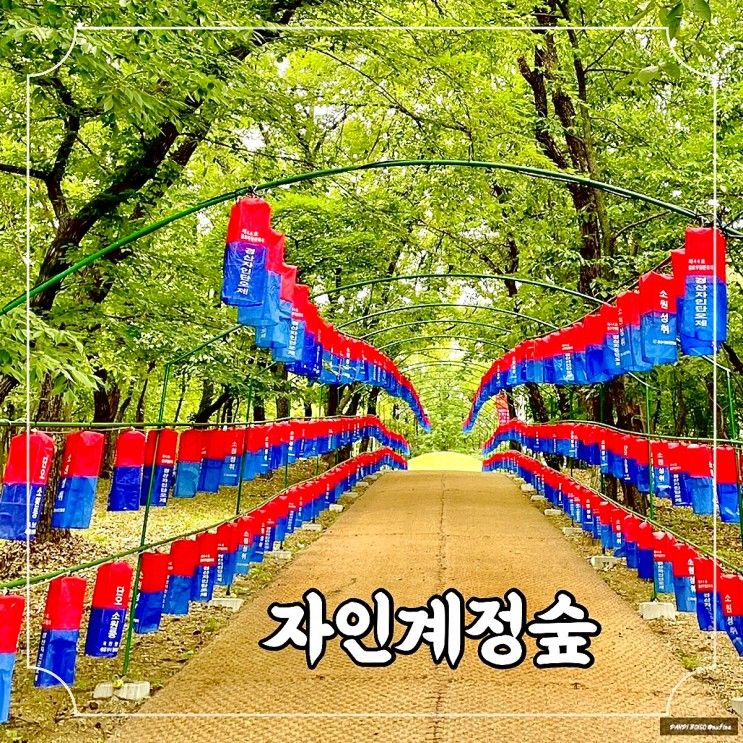 걷기좋은 산책길 자인계정숲 / feat. 경북6월축제 경산자인단오제