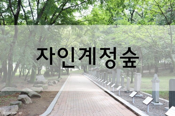 대구근교나들이 : 경산 자인계정숲 조용하게 산책하기 너무...