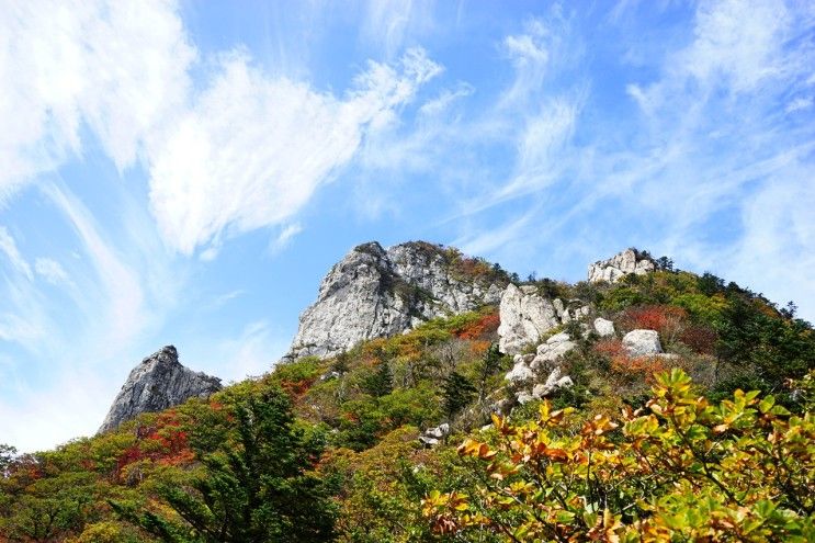 다시만난 안산 그리고...._2.