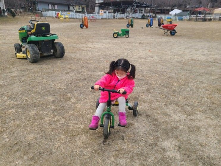 아이랑 가볼만한곳 : 동물먹이... 가능한 "이천 은아목장" 솔직... 