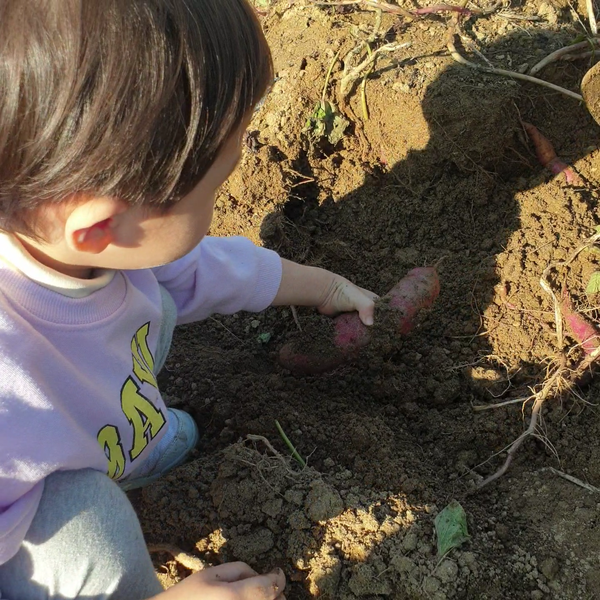 아기랑 경기도 농장 체험 연천 수농원♥︎