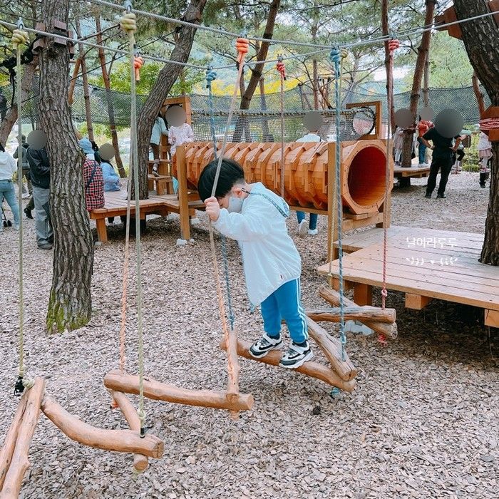 춘천 아이와 가볼만한곳 서면 유아숲체험원 숲놀이터