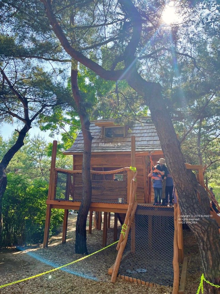 [강원도 춘천여행] 애니메이션박물관 안에 "서면유아숲체험원...